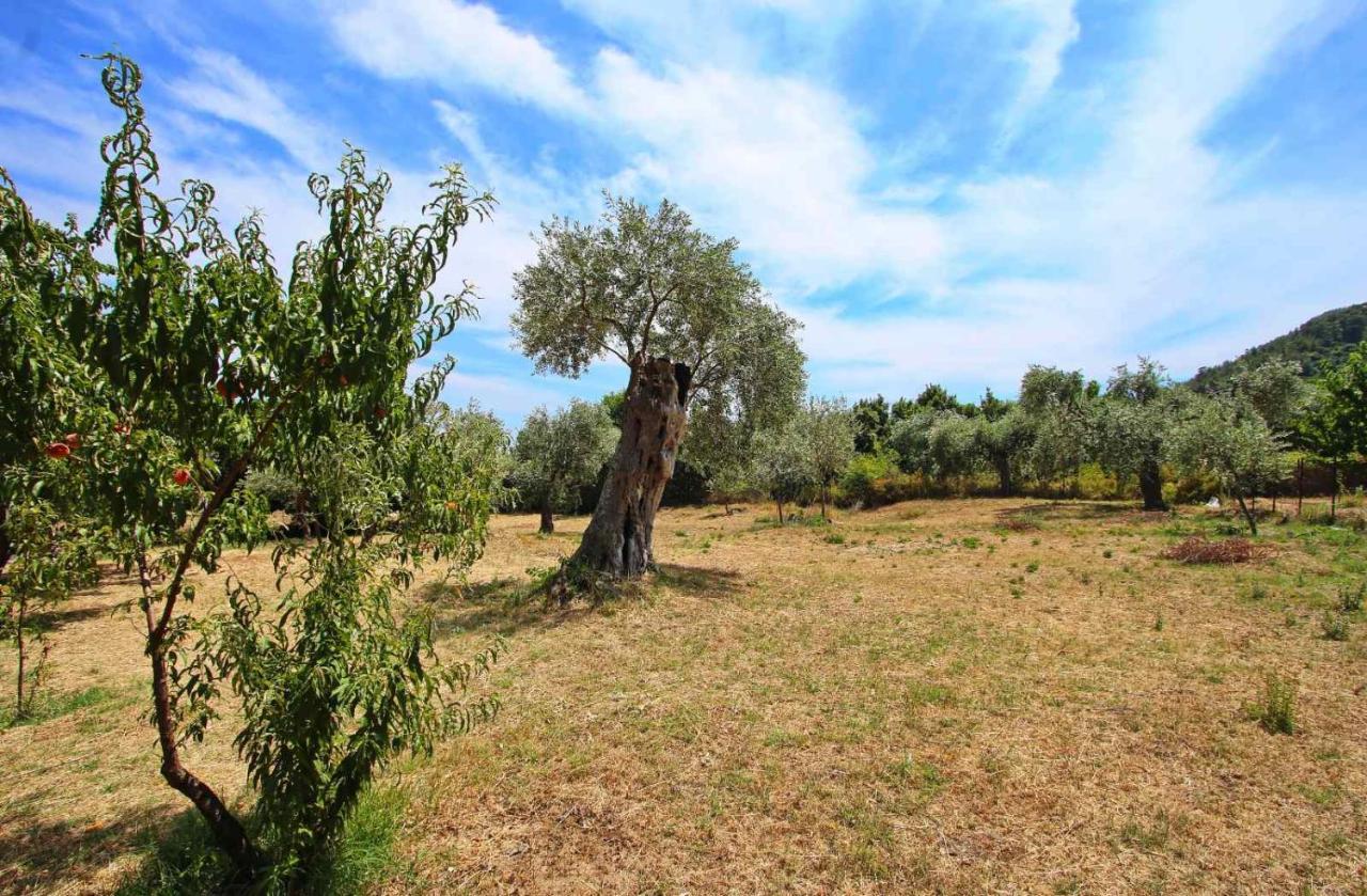 Appartamento Panos House Kinira Esterno foto